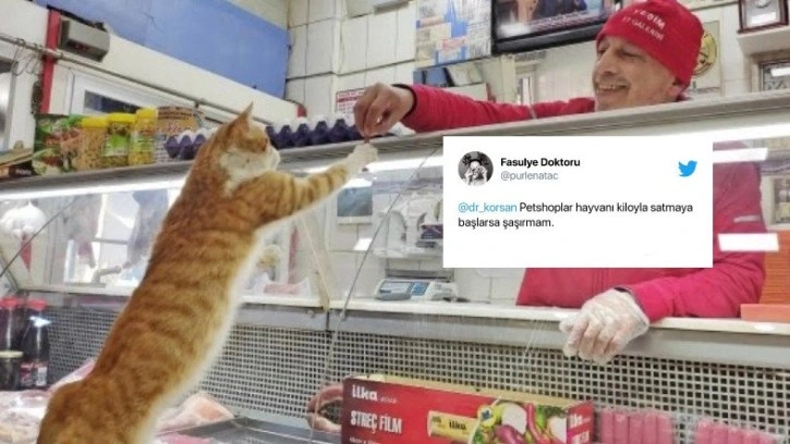 Petshopların Kasaplar Odası'na Bağlanması Viral Oldu