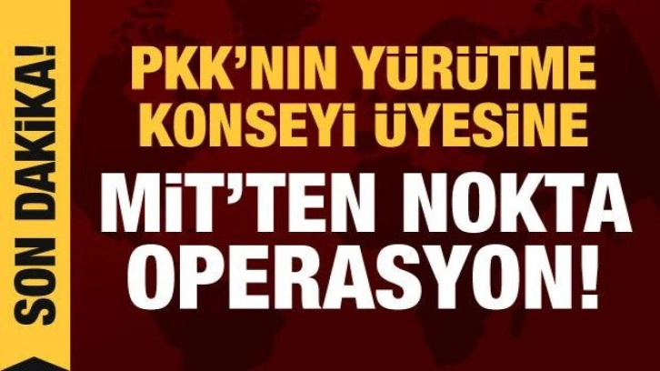 PKK'nın sözde yürütme konseyi üyesi Erhan Arman etkisiz hale getirildi