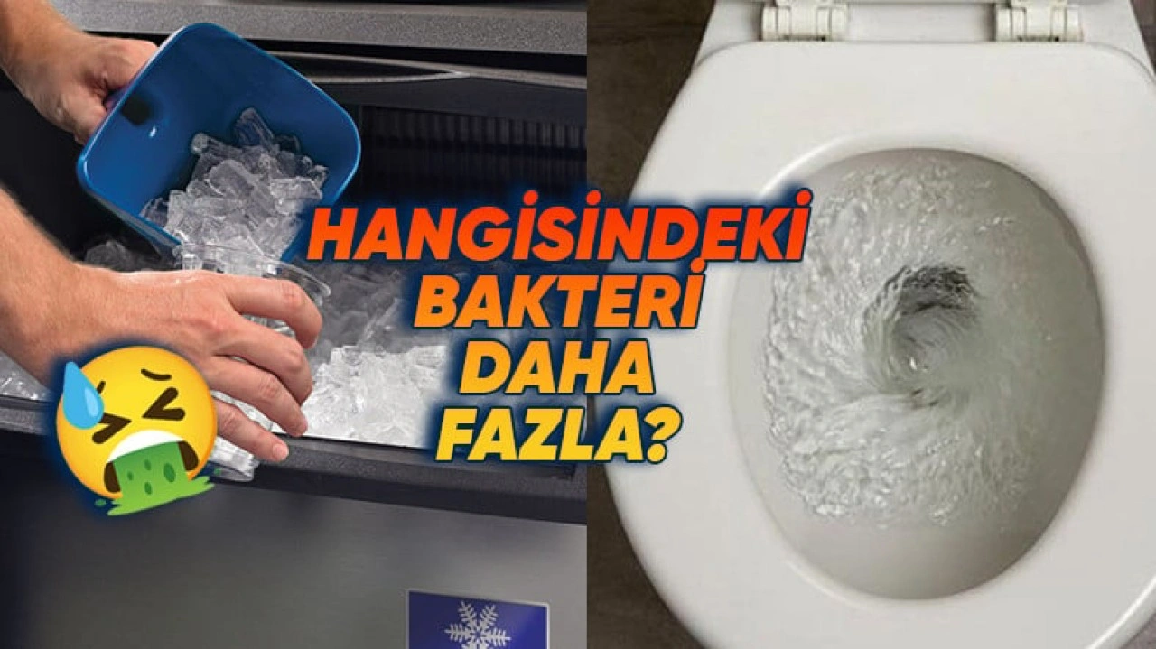 Restoranlardaki Buzlar, Tuvalet Suyundan Daha mı Kirli?