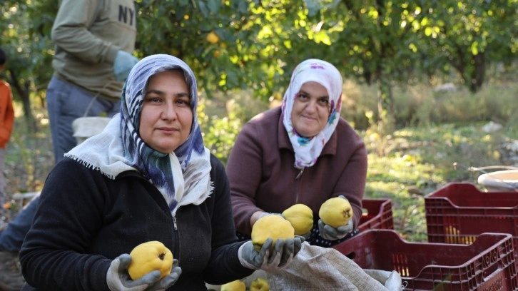 Rusya'nın ayvası Kahramanmaraş'tan gidiyor