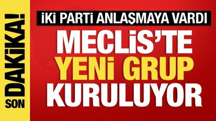 Saadet ve Gelecek Partisi grup kurmak için anlaştı