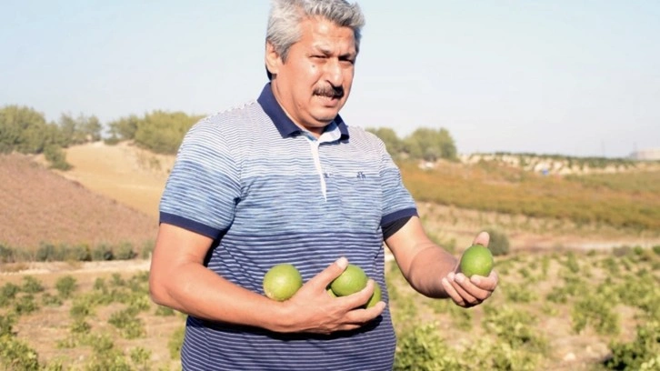 Sabah bahçesine girince öyle bir şey gördü ki! Hayatının şokunu yaşadı