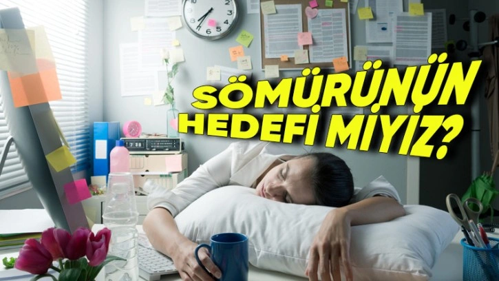 Sadık Çalışanlar, Sömürünün Hedefi mi Oluyor?