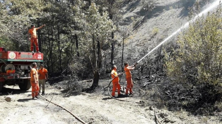 Sakarya'da çıkan orman yangınında soğutma çalışması sürüyor