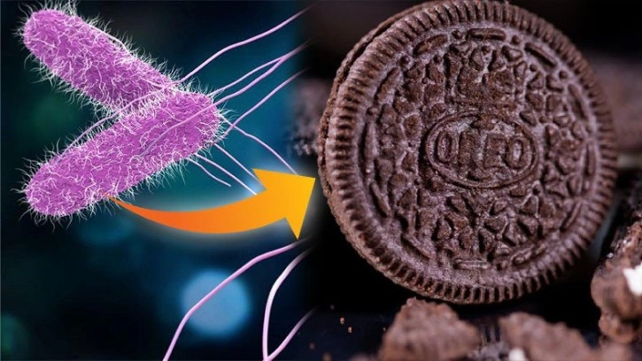 Salmonella, Şimdi de Oreo Bisküvilerinde Görüldü