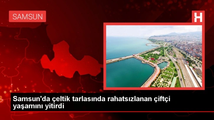 Samsun'da Çiftçi Çeltik Tarlasında Hayatını Kaybetti