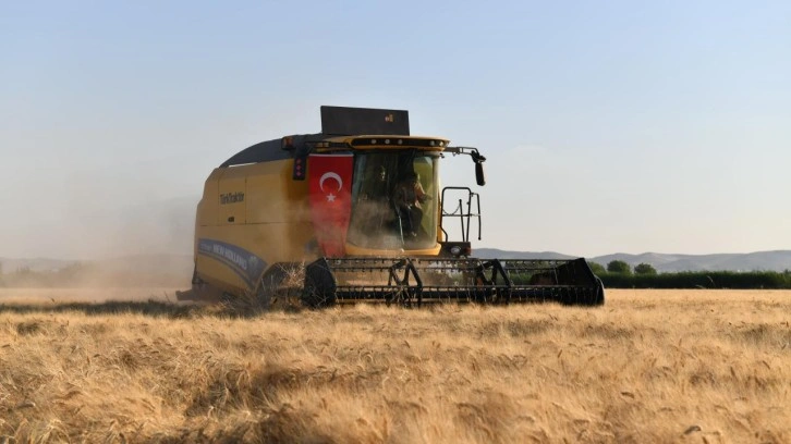 Şanlıurfa'da buğday hasadı başladı