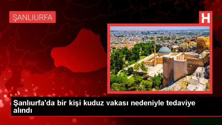 Şanlıurfa'da Kuduz Vakası: Bir Kişi Tedavi Altına Alındı