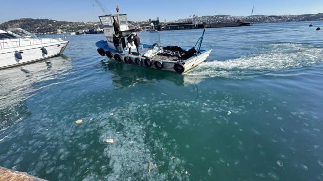 Sarıyer ve Beşiktaş kıyılarında mide kötü görüntü