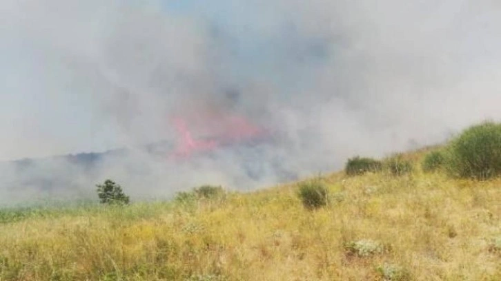 Şarköy'de makilik yangını; 5 hektar yandı