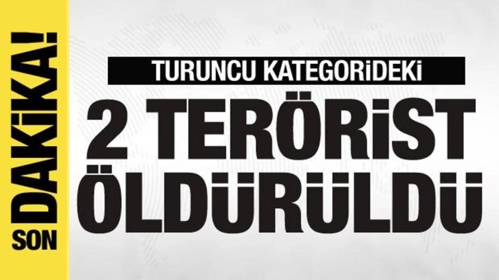 Şehitlerimizin kanı yerde kalmadı! Turuncu kategorideki 2 terörist öldürüldü