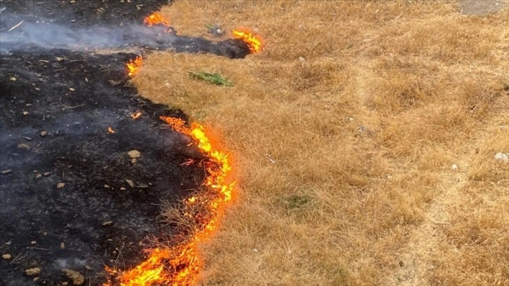 Siirt'te anız yakan kişiye 57 bin 990 lira ceza uygulandı