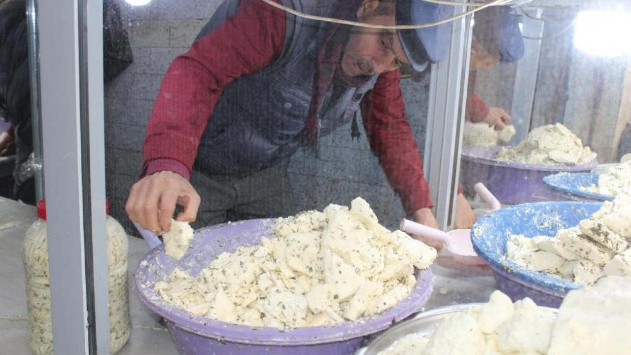 Siirt'te kışlık peynir satışa çıktı!