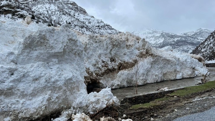 Siirt’te kar nedeniyle yolda mahsur kalan araçlar kurtarıldı