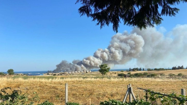 Silivri’de 150 dönümlük buğday tarlası kül oldu