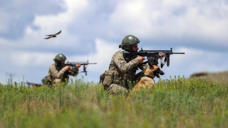 Sınırda 1'i terör örgütü mensubu 6 kişi yakalandı