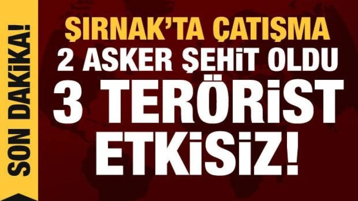 Şırnak'ta operasyon: 2 jandarma şehit oldu, 3 terörist etkisiz hale getirildi