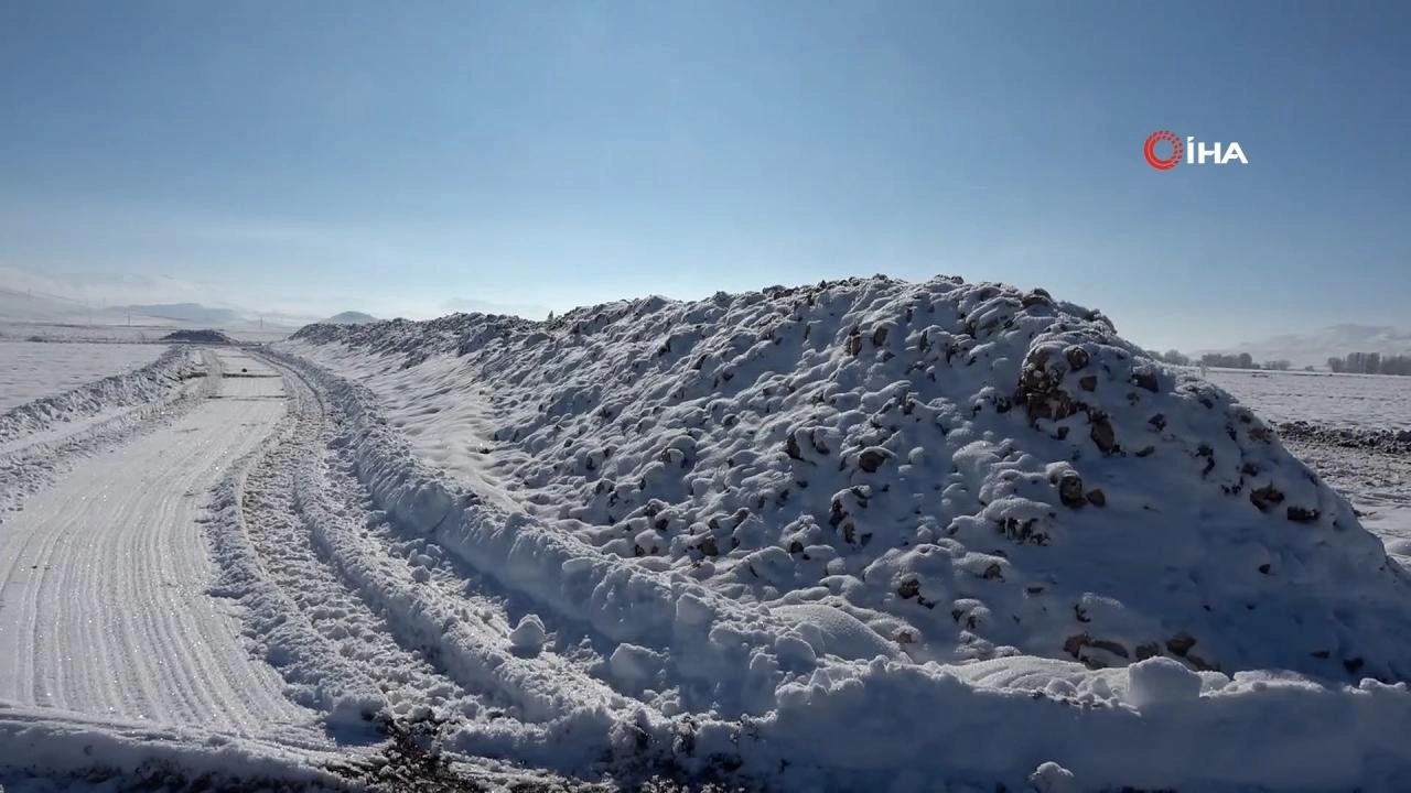 Sivas'ta şeker pancarı üreticileri zor durumda: 60 bin ton pancar kar altında kaldı!