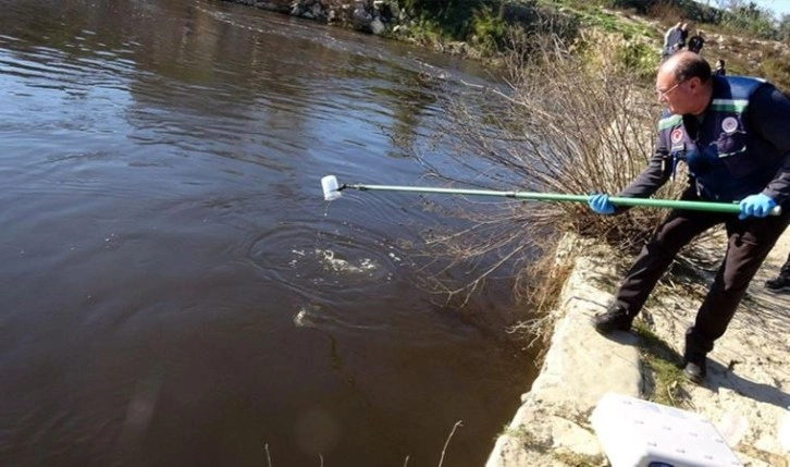 Siyaha bürünmüştü: Menderes Nehri'nden analiz için 'numune' alındı