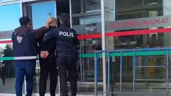 Sokak kedisini çantasına koyup götürmüştü! Karar verildi