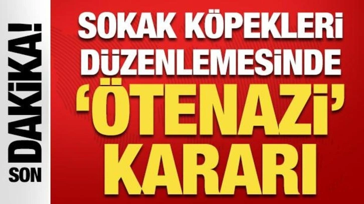 Sokak köpekleri düzenlemesinde 'ötenazi' kararı