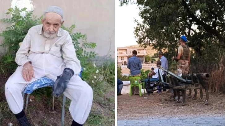 Sokak köpekleri yaşlı adamı öldürüp cesedini parçaladı