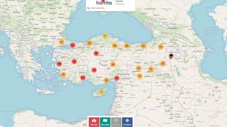 Sokak köpeklerinin yerini harita üzerinde gösteren uygulamaya erişim engeli