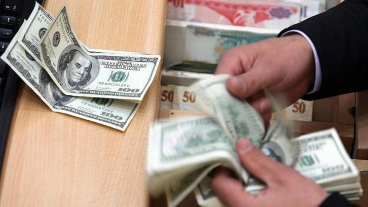 Son 20 yılda Türkiye UDY'lerden 262 milyar dolarlık pay aldı