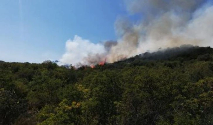 Son dakika: Antalya’da orman yangını çıktı