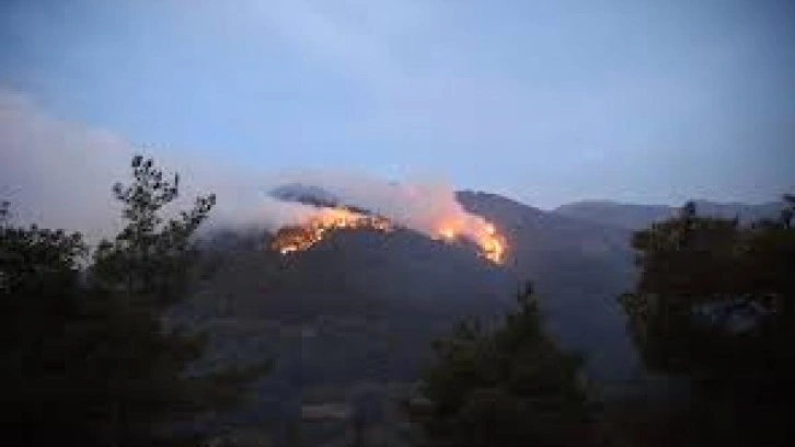 Son dakika: Babadağ'daki orman yangını kontrol altına alındı