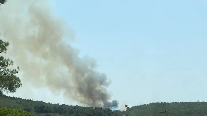 Son Dakika: Beykoz'daki orman yangını kontrol altına alındı