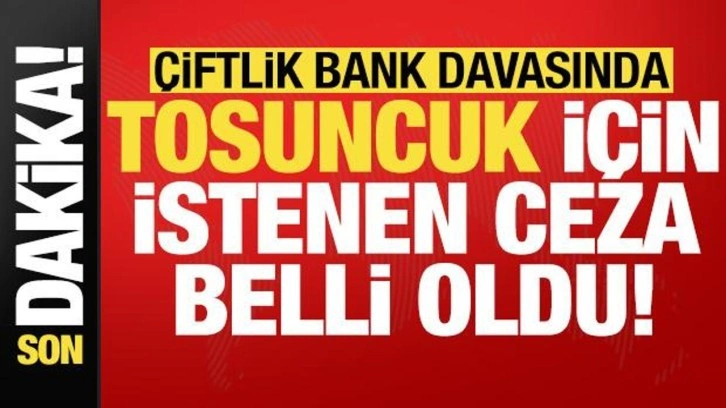 Son dakika: Çiftlik Bank davasında 'Tosuncuk' Mehmet Aydın için istenen ceza belli oldu!