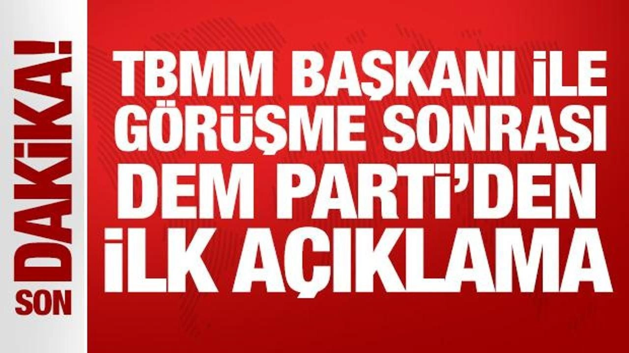 Son Dakika: DEM Parti'den TBMM'de İmralı ziyaretleri: İlk açıklama geldi!