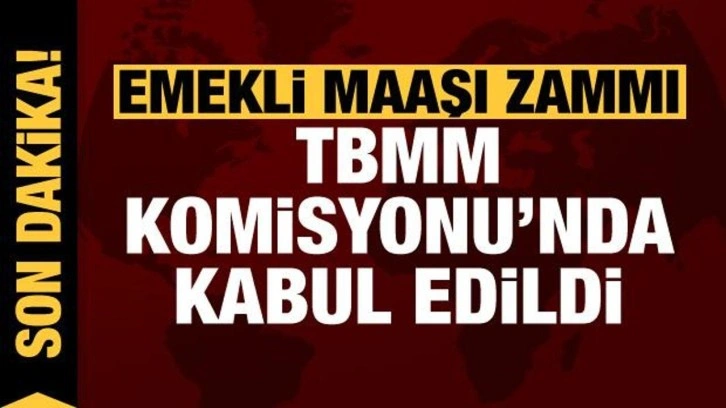 Son dakika: Emekli maaşı zammı ve emekli ikramiyesi TBMM Komisyonu'nda kabul edildi!