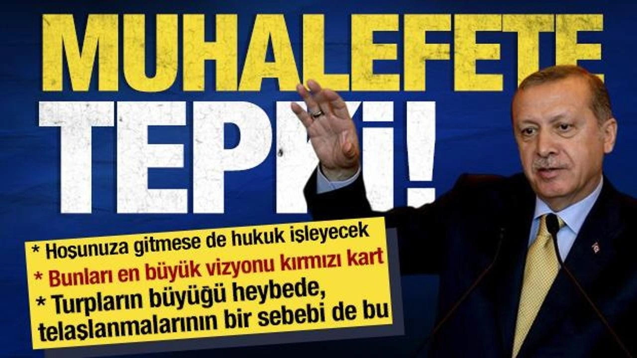 Son dakika! Erdoğan'dan muhalefete tepki: Bunların en büyük vizyonu kırmızı kart