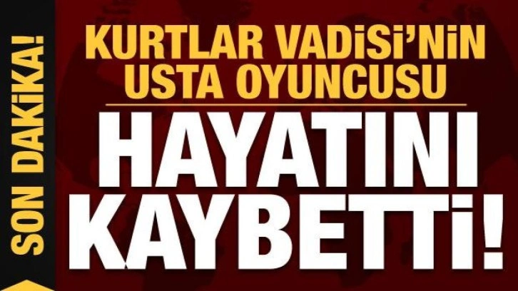 Son dakika haberi: Kurtlar Vadisi'nin usta oyuncusu İsmail İncekara hayatını kaybetti!