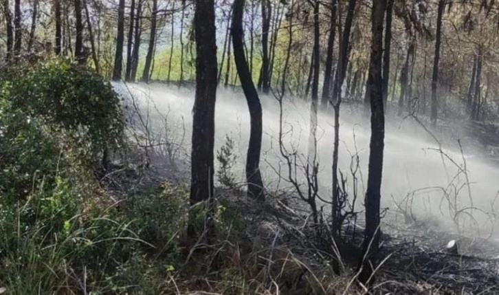 Son Dakika: Hatay’da orman yangını