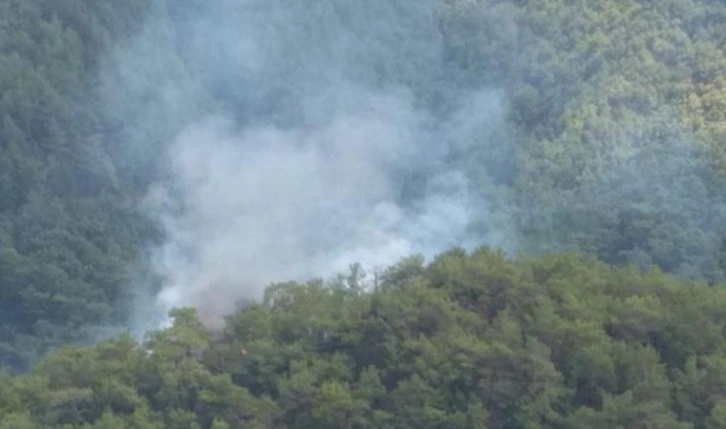 Son Dakika: Kazdağları’nda orman yangını