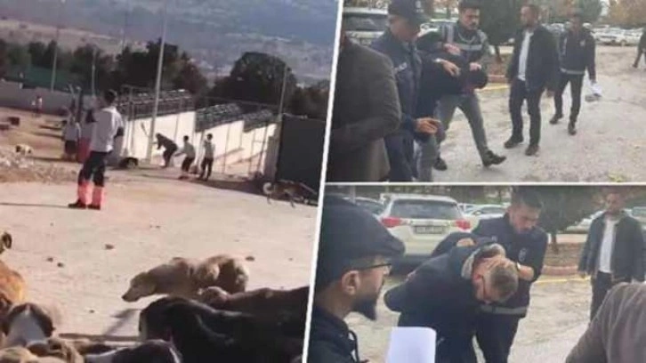 Son Dakika: Konya'da kürekle köpek öldürenlerin cezası belli oldu