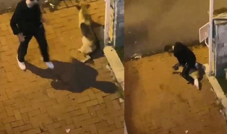 Son dakika... Köpeği boğmaya çalışan saldırganın ifadesi ortaya çıktı: Yine 'alkol' bahane