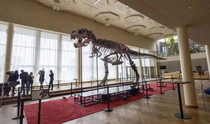 T-Rex cinsi dinozor iskeleti 6,2 milyon dolara satıldı