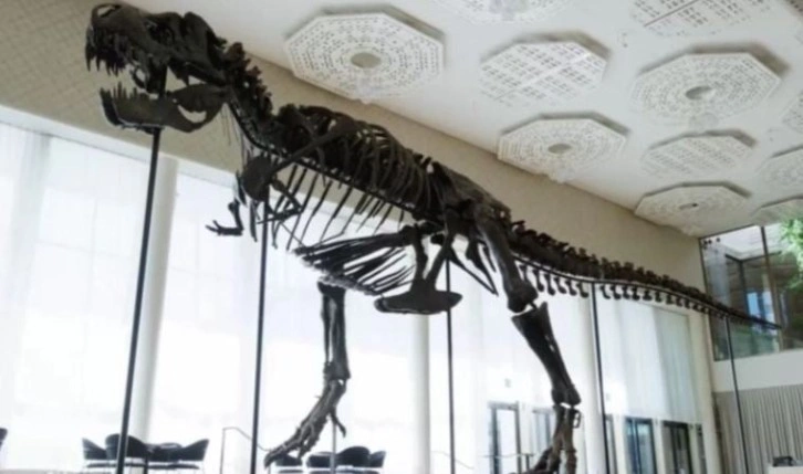 T-Rex iskeleti 6,2 milyon dolara satıldı