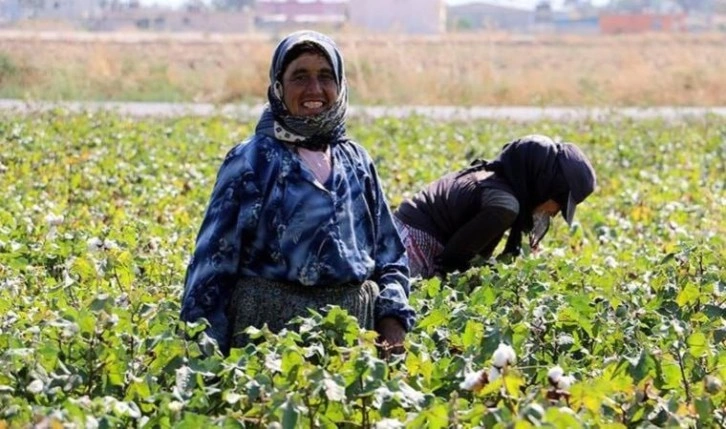 Tarım İşçileri Sendikası kuruldu: 'Başka bir yol arayacağız'