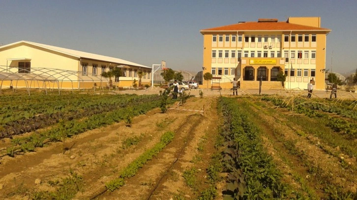 Tarım meslek liselerince üretim yapılan alanlarda hasat başladı