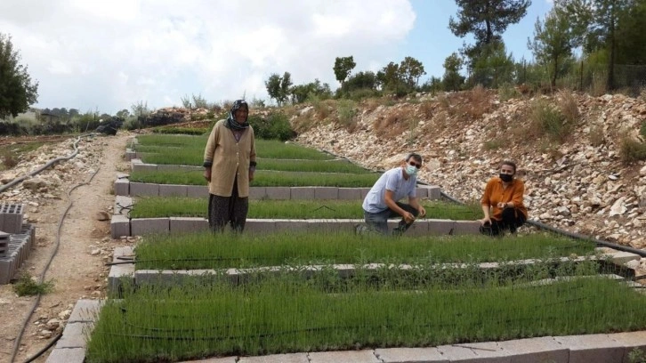 Tarım ve Orman Bakanlığı 7 bin 158 personel alacak