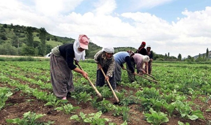 Tarımdaki nüfus hızla yaşlanıyor