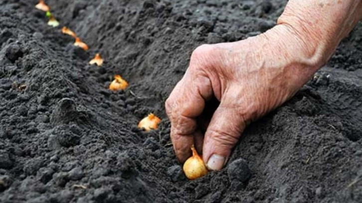 Tarımsal destek ödemeleri bugün başlıyor