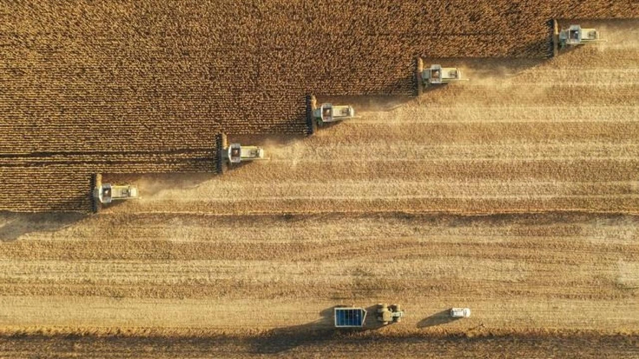 Tarımsal girdi fiyatları 3 ayın zirvesinde