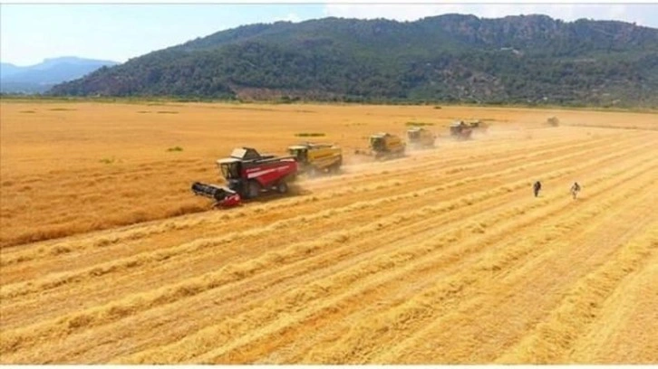 Tarımsal girdi fiyatlarında yükseliş sürüyor