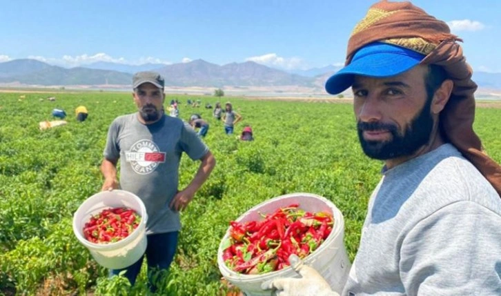 'Tarladan markete fiyat iki katına çıkıyor'